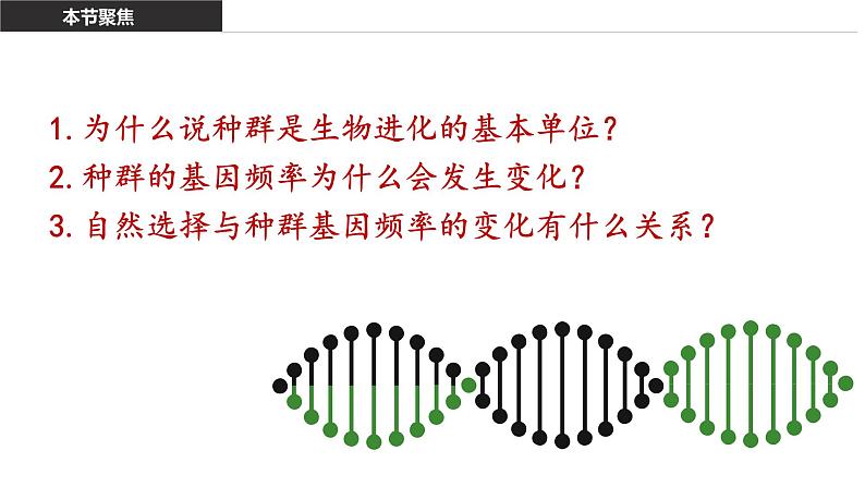 6.3 种群基因组成的变化 课件【新教材】2020-2021学年高一生物人教版(2019)必修二03