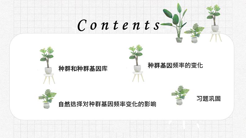 6.3 种群基因组成的变化 课件【新教材】2020-2021学年高一生物人教版(2019)必修二04