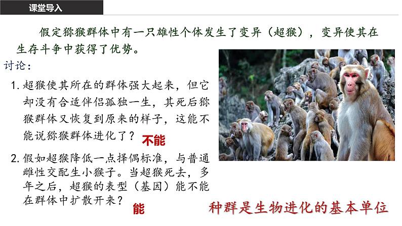 6.3 种群基因组成的变化 课件【新教材】2020-2021学年高一生物人教版(2019)必修二06