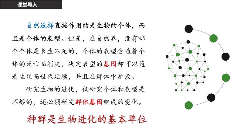6.3 种群基因组成的变化 课件【新教材】2020-2021学年高一生物人教版(2019)必修二07