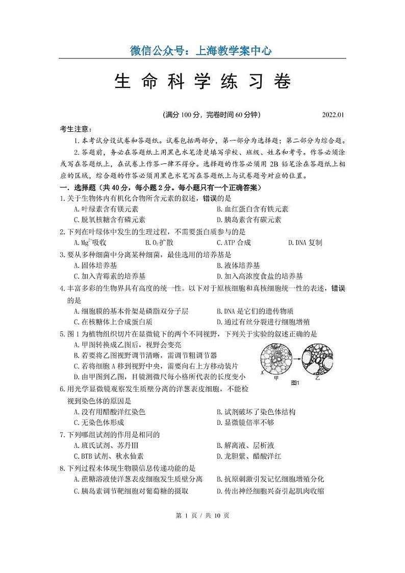 2022届松江区高考生物一模 含答案练习题第1页