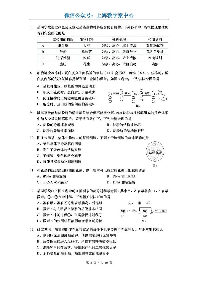 2022届静安区高考生物一模 含答案练习题02