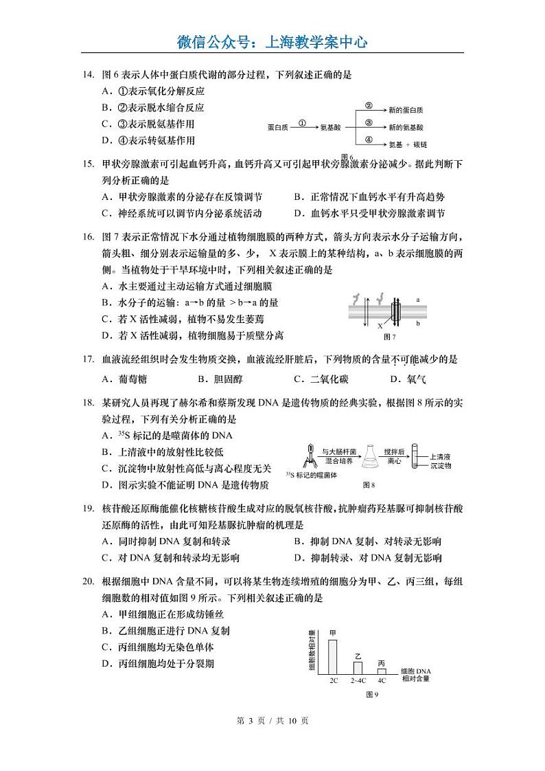 2022届静安区高考生物一模 含答案练习题03