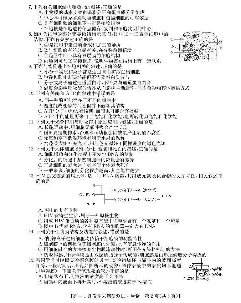 山西省运城市2021-2022学年高一上学期1月份期末调研测试生物试卷(PDF版)02