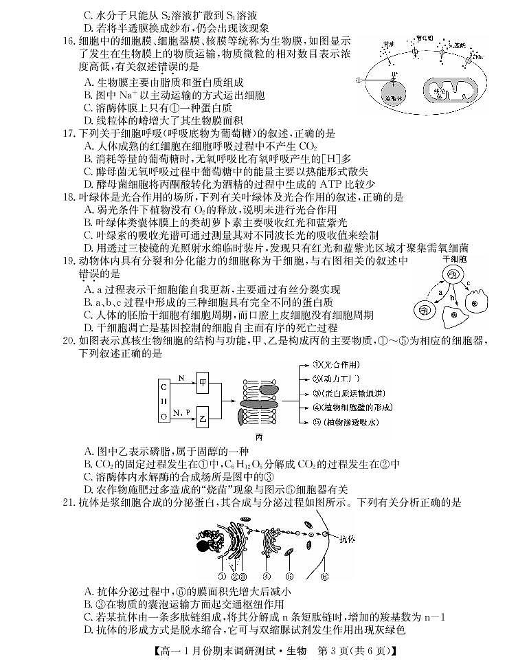 山西省运城市2021-2022学年高一上学期1月份期末调研测试生物试卷(PDF版)03