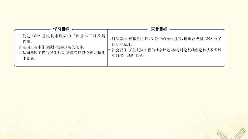 高中生物专题1基因工程1DNA重组技术的基本工具课件新人教版选修302