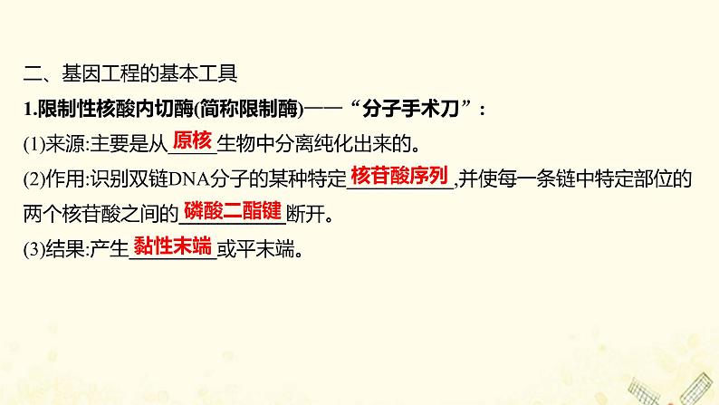 高中生物专题1基因工程1DNA重组技术的基本工具课件新人教版选修306