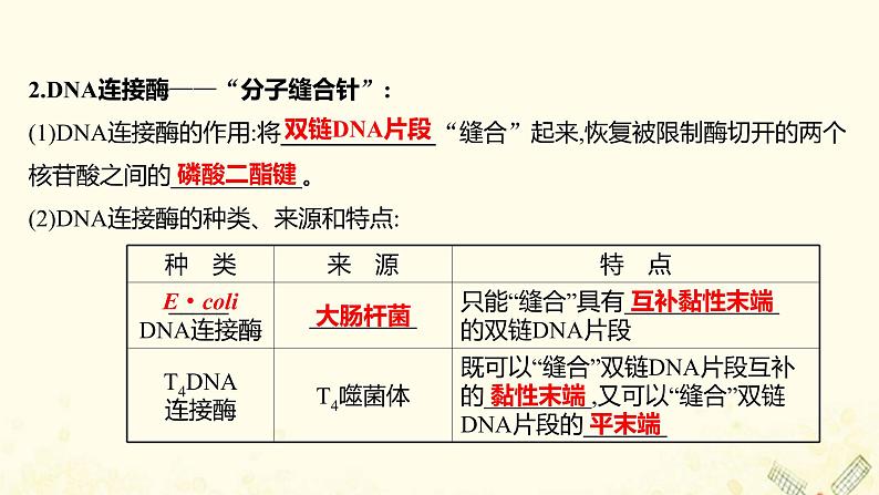 高中生物专题1基因工程1DNA重组技术的基本工具课件新人教版选修307