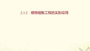 人教版 (新课标)选修3《现代生物科技专题》2.1.2 植物细胞工程的实际应用集体备课课件ppt
