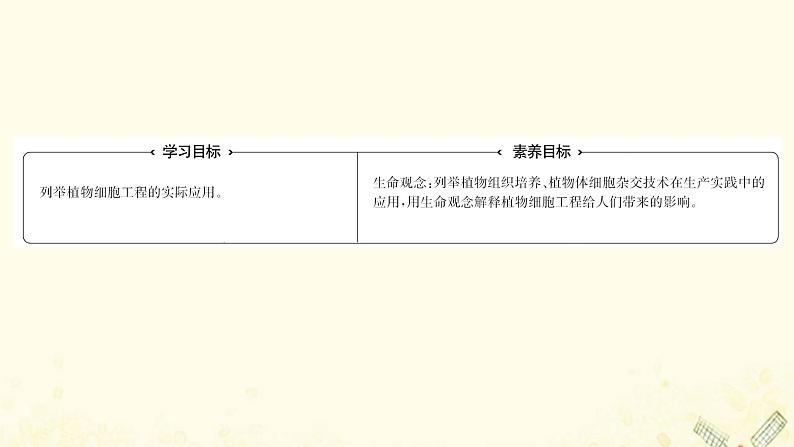 高中生物专题2细胞工程1.2植物细胞工程的实际应用课件新人教版选修3第2页