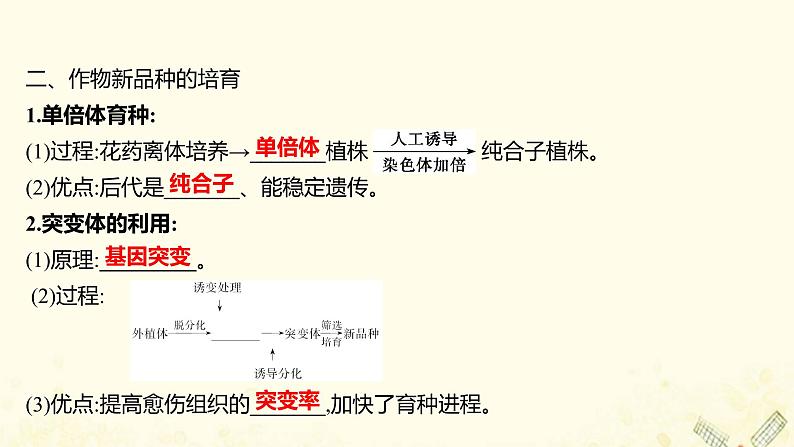 高中生物专题2细胞工程1.2植物细胞工程的实际应用课件新人教版选修3第6页