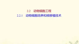 高中生物专题2细胞工程2.1动物细胞培养和核移植技术课件新人教版选修3