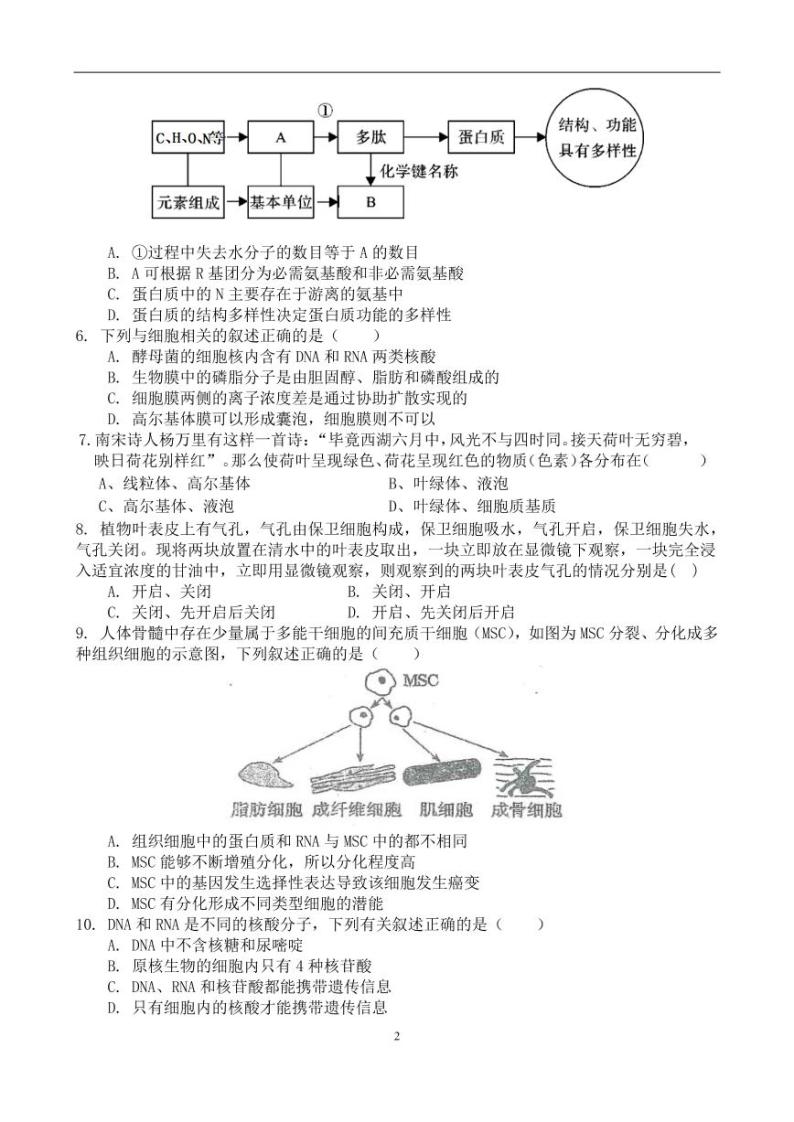 2021-2022学年广东省兴宁市高一上学期年级生物竞赛试题（样题）PDF02