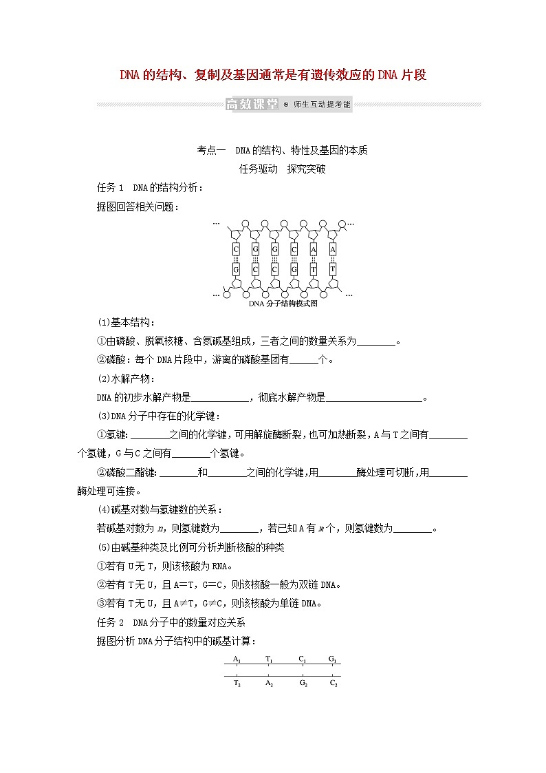 新教材高考生物一轮复习第二单元遗传的分子基础2DNA的结构复制及基因通常是有遗传效应的DNA片段学案必修2第1页