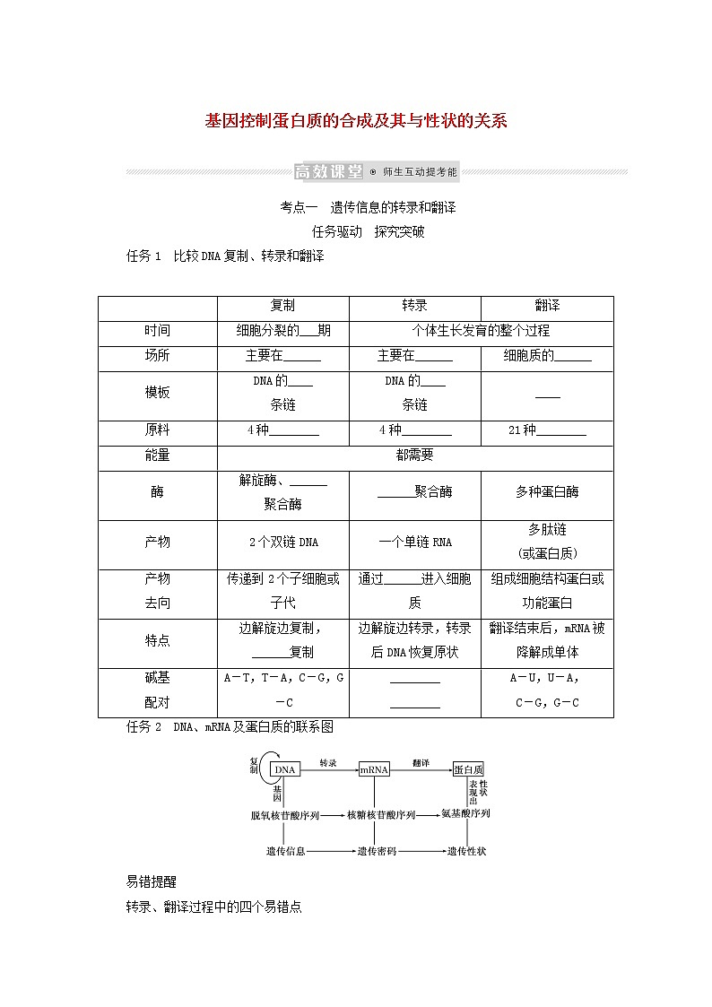 新教材高考生物一轮复习第二单元遗传的分子基础3基因控制蛋白质的合成及其与性状的关系学案必修201