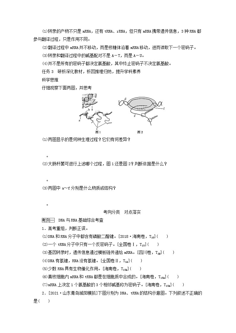 新教材高考生物一轮复习第二单元遗传的分子基础3基因控制蛋白质的合成及其与性状的关系学案必修202