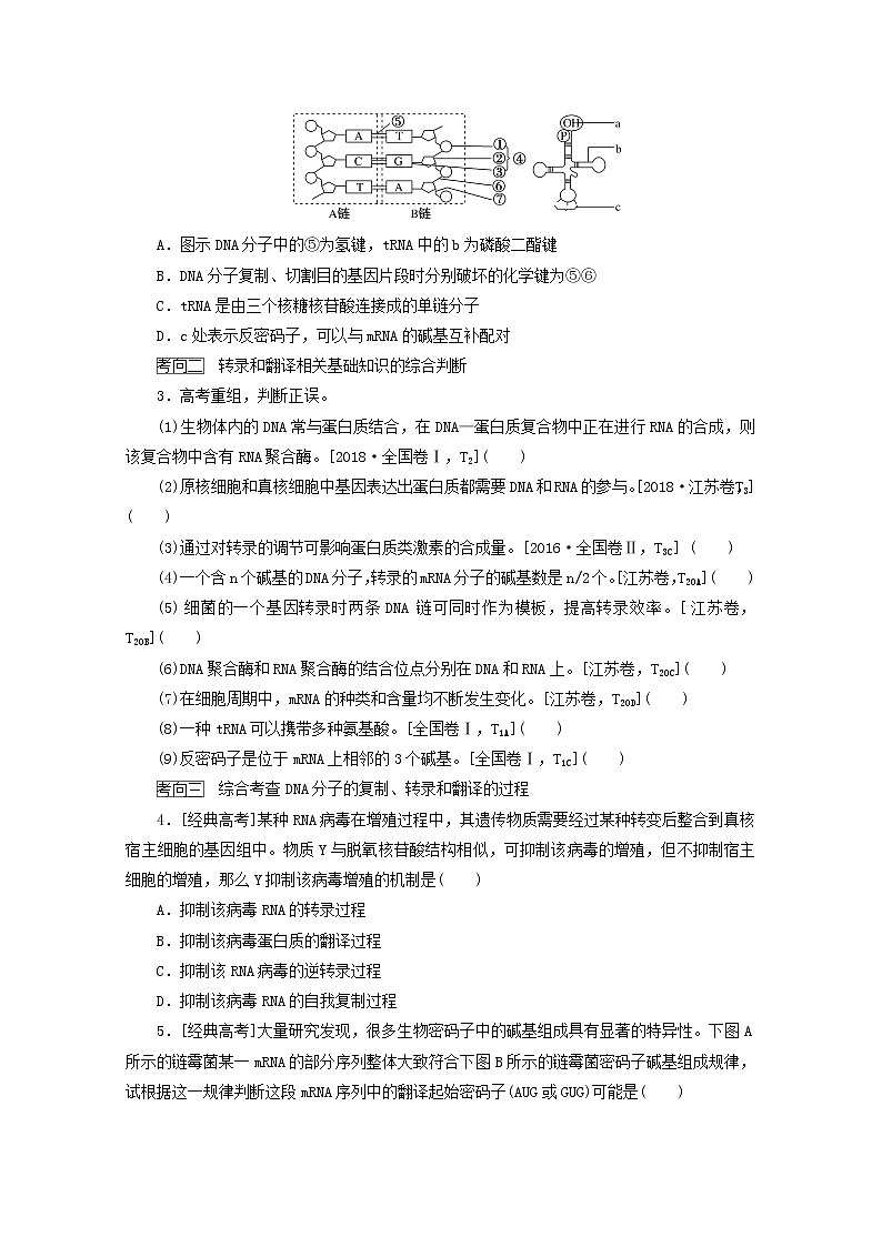 新教材高考生物一轮复习第二单元遗传的分子基础3基因控制蛋白质的合成及其与性状的关系学案必修203