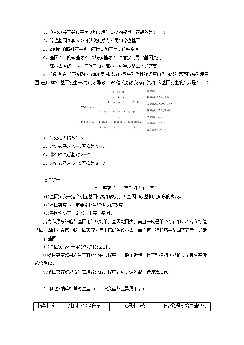新教材高考生物一轮复习第三单元生物的变异育种与进化1基因突变与基因重组学案必修203
