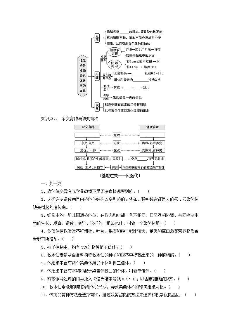 新教材高考生物一轮复习第三单元生物的变异育种与进化2染色体变异与育种课前学案必修2第2页
