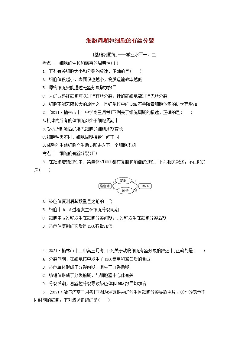 新教材高考生物一轮复习课后检测12细胞周期和细胞的有丝分裂含解析第1页