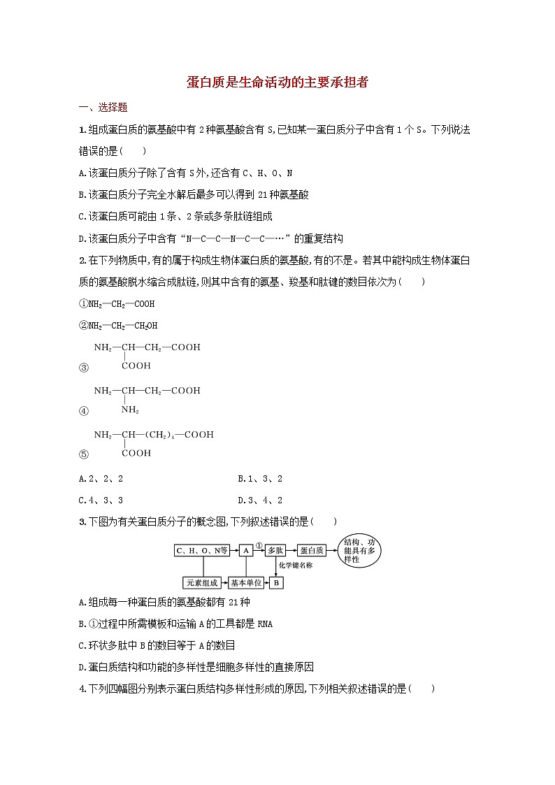 新教材高考生物一轮复习考点规范练3蛋白质是生命活动的主要承担者含解析新人教版第1页