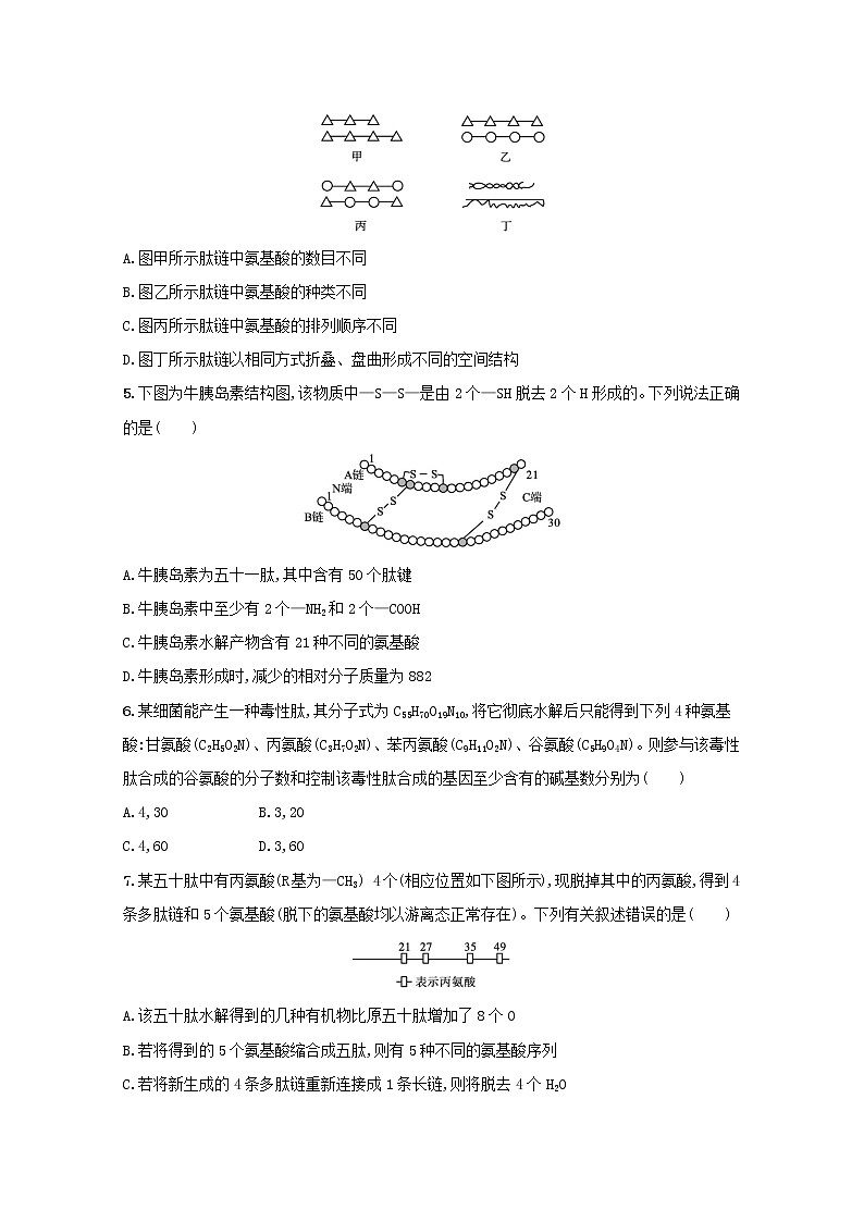新教材高考生物一轮复习考点规范练3蛋白质是生命活动的主要承担者含解析新人教版第2页