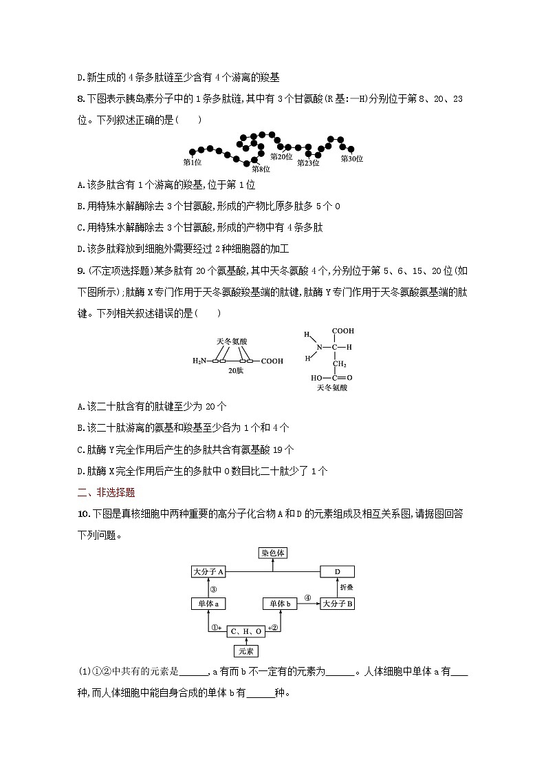 新教材高考生物一轮复习考点规范练3蛋白质是生命活动的主要承担者含解析新人教版第3页