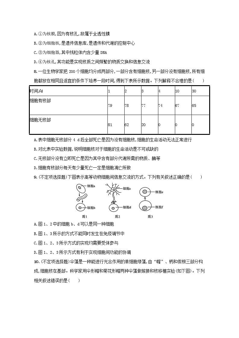 新教材高考生物一轮复习考点规范练5细胞膜的结构和功能细胞核的结构和功能含解析新人教版03