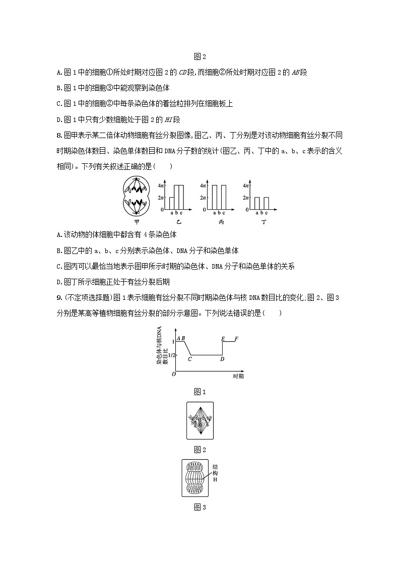 新教材高考生物一轮复习考点规范练12细胞的增殖含解析新人教版03