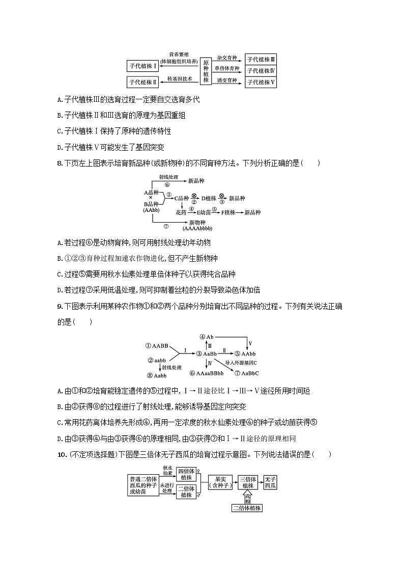 新教材高考生物一轮复习考点规范练22染色体变异含解析新人教版第3页