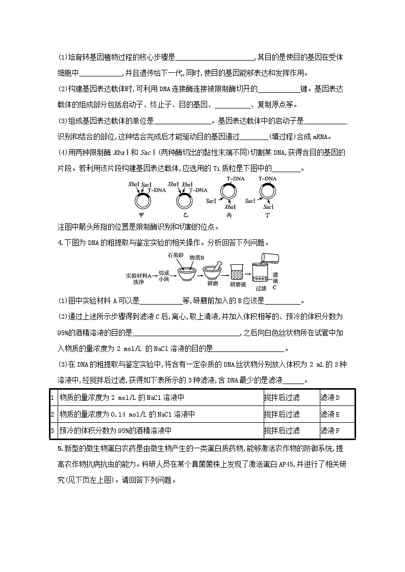 新教材高考生物一轮复习考点规范练37基因工程及生物技术的安全性与伦理问题含解析新人教版第2页