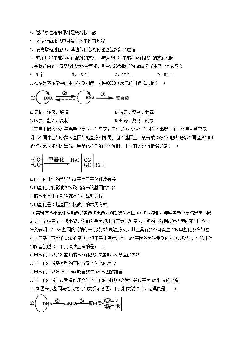 新教材高考生物一轮复习第六单元遗传的物质基础第19讲基因的表达基础训练A卷含解析第2页