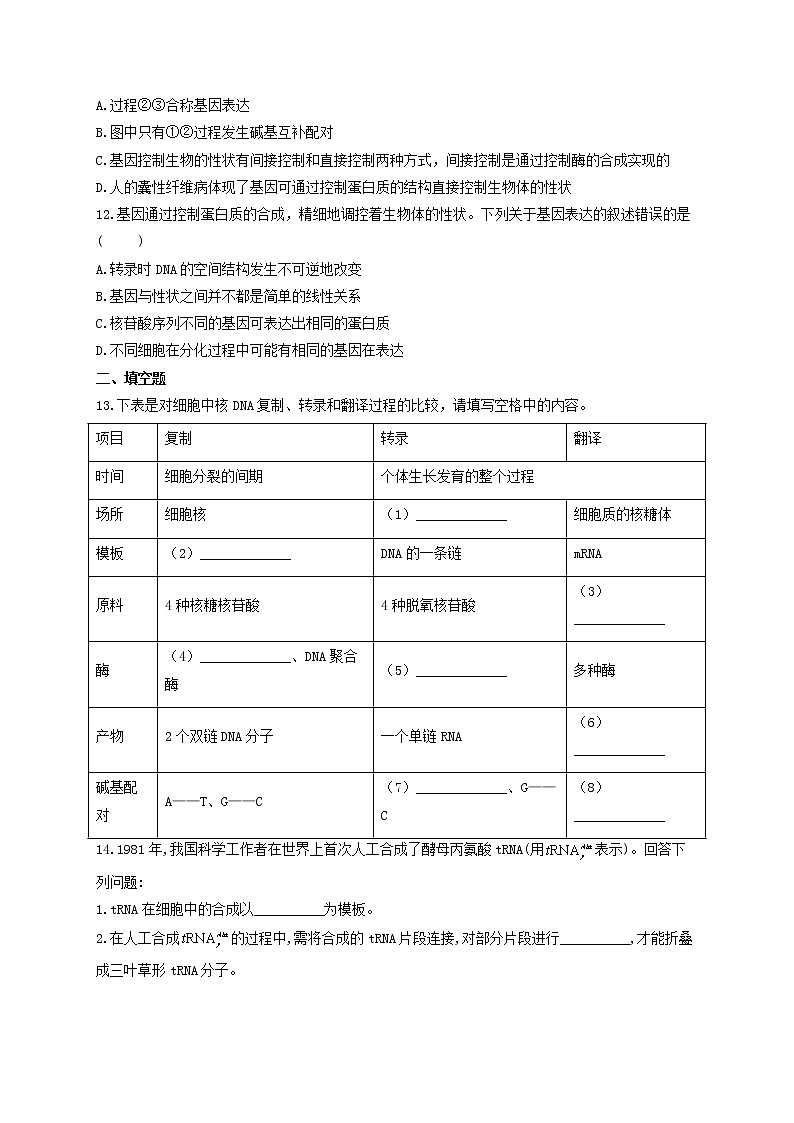 新教材高考生物一轮复习第六单元遗传的物质基础第19讲基因的表达基础训练A卷含解析第3页