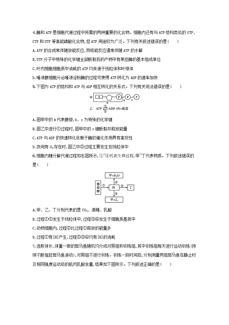 新教材高考生物一轮复习单元目标检测卷三细胞的能量供应和利用含解析新人教版02