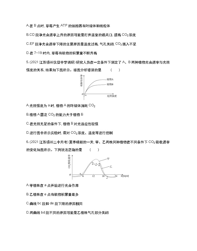 第四节 影响光合作用和细胞呼吸的环境因素-2022版生物必修第一册 苏教版(2019) 同步练习 (Word含解析)02