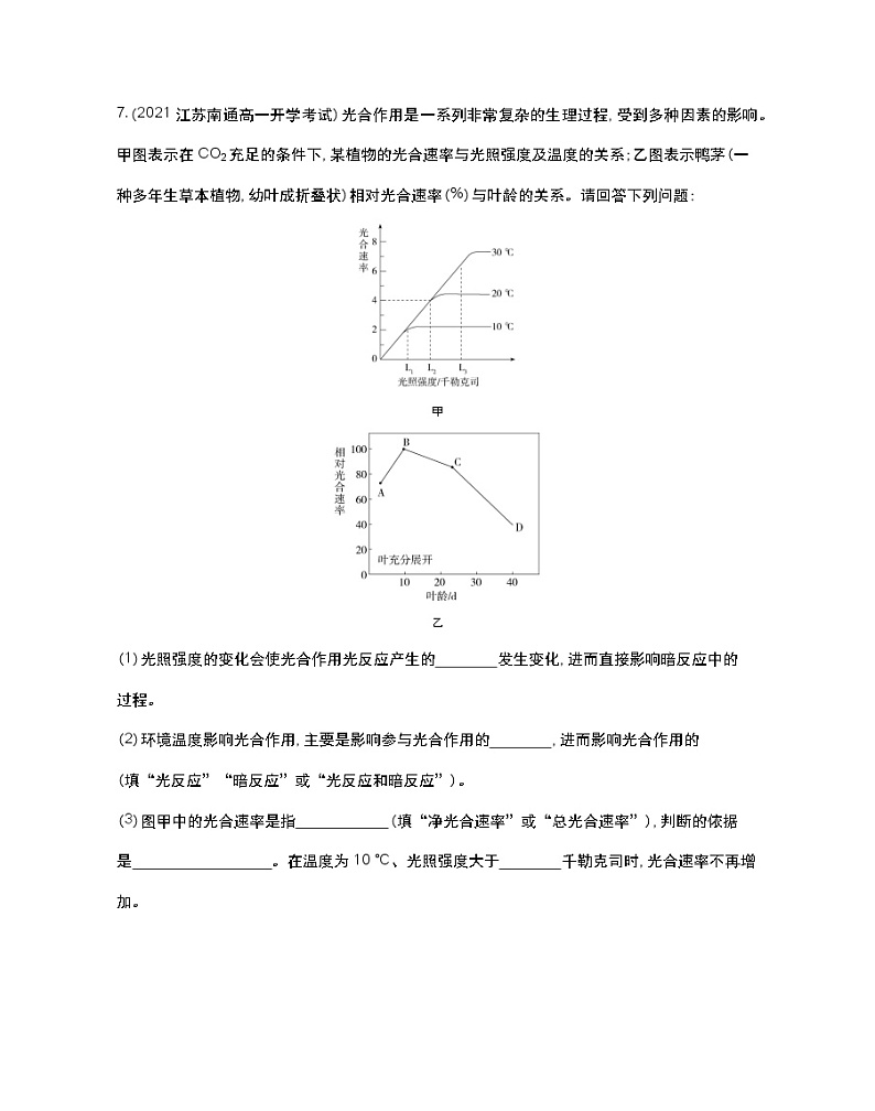 第四节 影响光合作用和细胞呼吸的环境因素-2022版生物必修第一册 苏教版(2019) 同步练习 (Word含解析)03