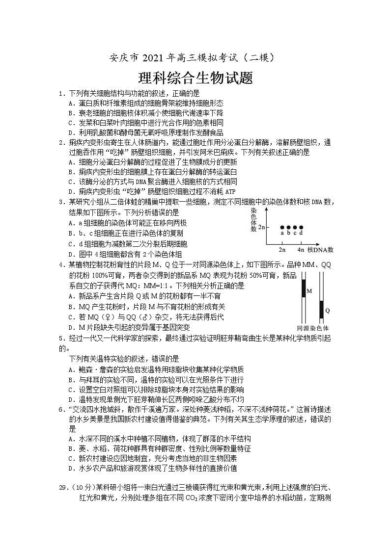 安徽省安庆市2021届高三下学期3月模拟考试(二模)生物试题含答案01