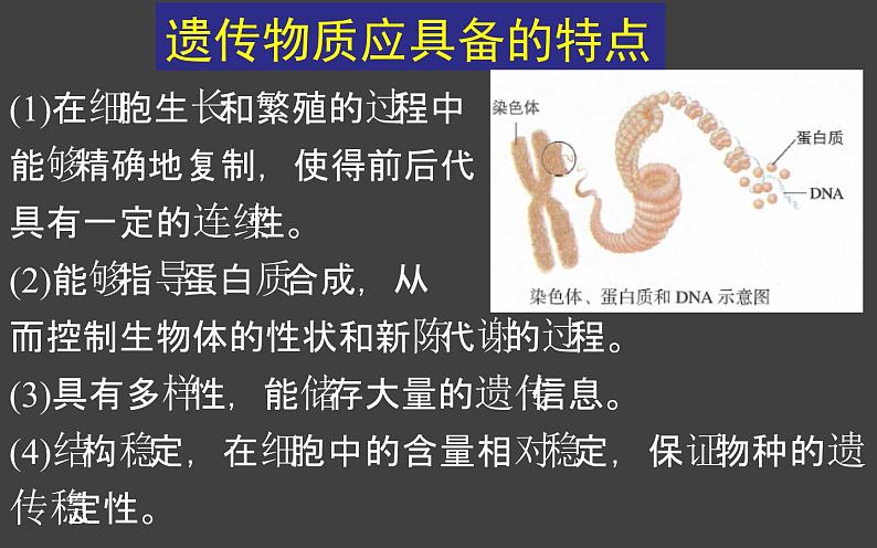 3.1 DNA是主要的遗传物质(第1课时)课件-2020-2021学年人教版(2019)高中生物必修2遗传与进化05