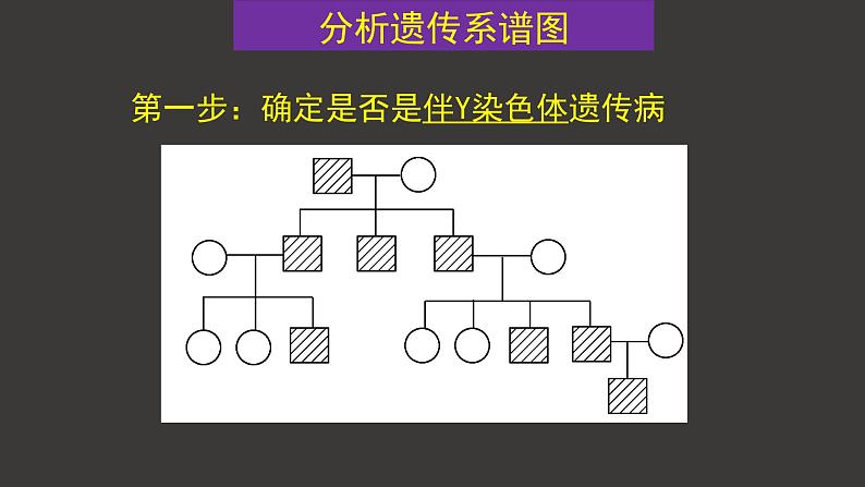2.3 伴性遗传(第2课时)课件-人教版(2019)高中生物必修2遗传与进化第2页