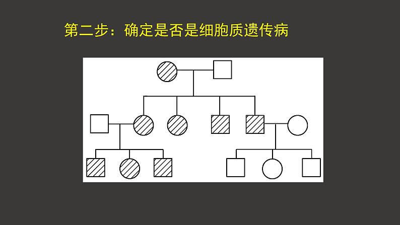 2.3 伴性遗传(第2课时)课件-人教版(2019)高中生物必修2遗传与进化第3页