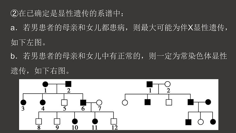 2.3 伴性遗传(第2课时)课件-人教版(2019)高中生物必修2遗传与进化第6页