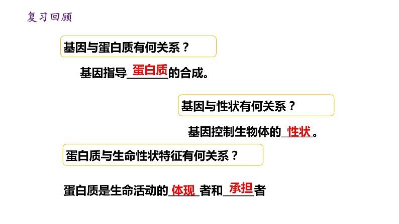 4.2 基因表达与性状的关系 课件【新教材】2020-2021学年高一生物人教版(2019)必修二第4页