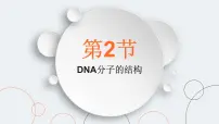 生物第2节 DNA的结构课文内容课件ppt