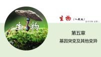 生物必修2《遺傳與進化》第2節(jié) 染色體變異授課課件ppt