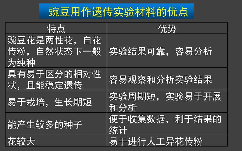 1.1 孟德尔的豌豆杂交实验(一)第1课时 课件-人教版(2019)高中生物必修2遗传与进化第7页