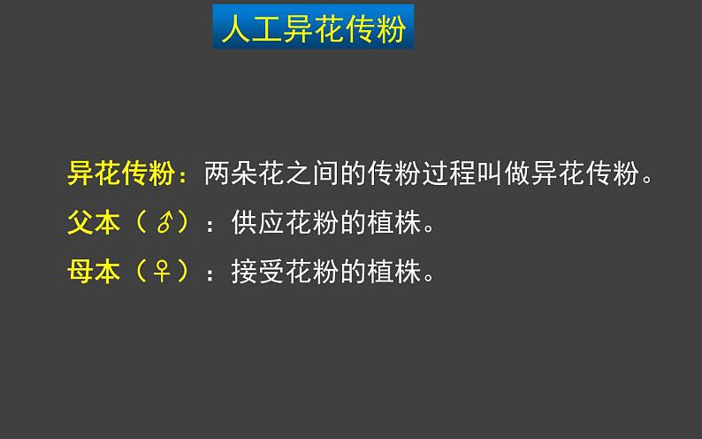1.1 孟德尔的豌豆杂交实验(一)第1课时 课件-人教版(2019)高中生物必修2遗传与进化第8页