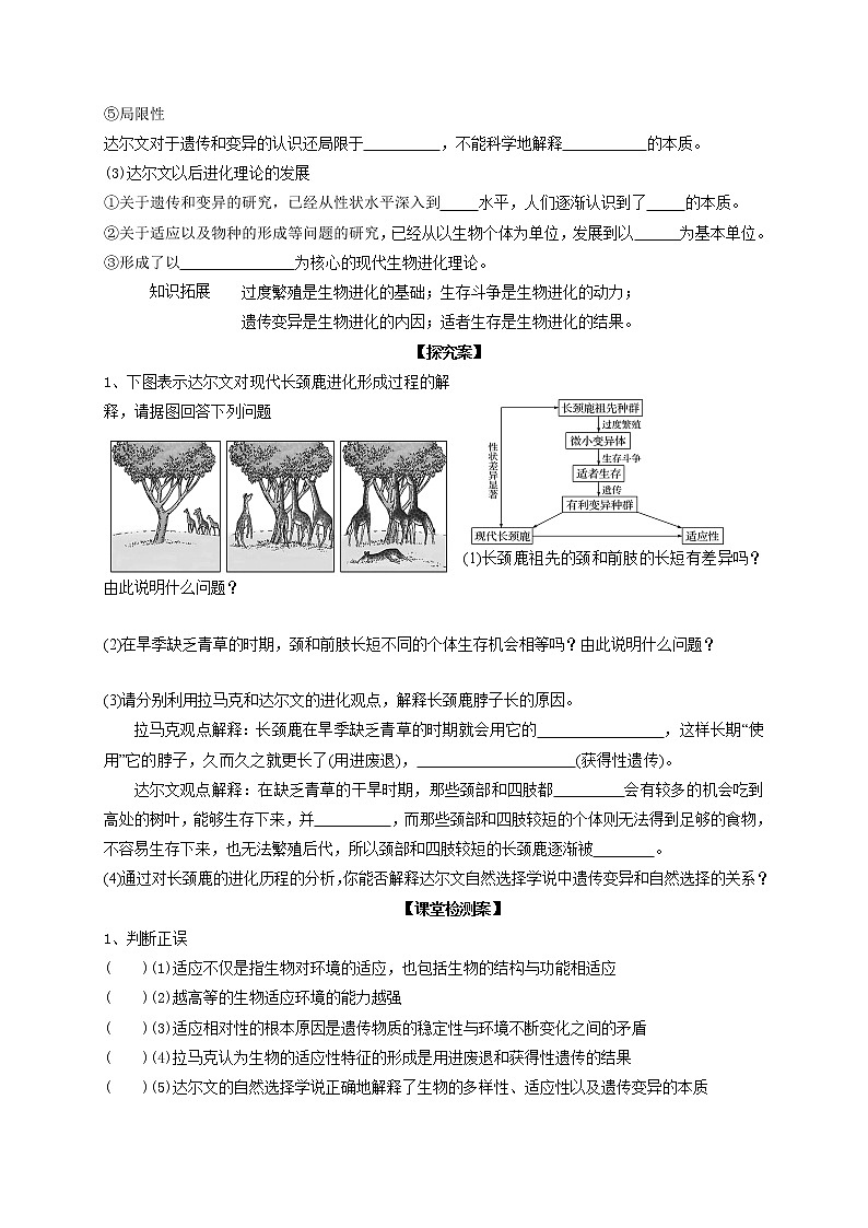 6.2 自然选择与适应性的形成 导学案【新教材】2020-2021学年高一生物人教版(2019)必修二第2页
