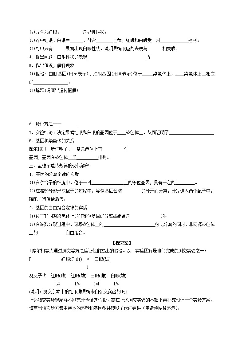 2.2 基因在染色体上 导学案【新教材】2020-2021学年高一生物人教版(2019)必修二第2页
