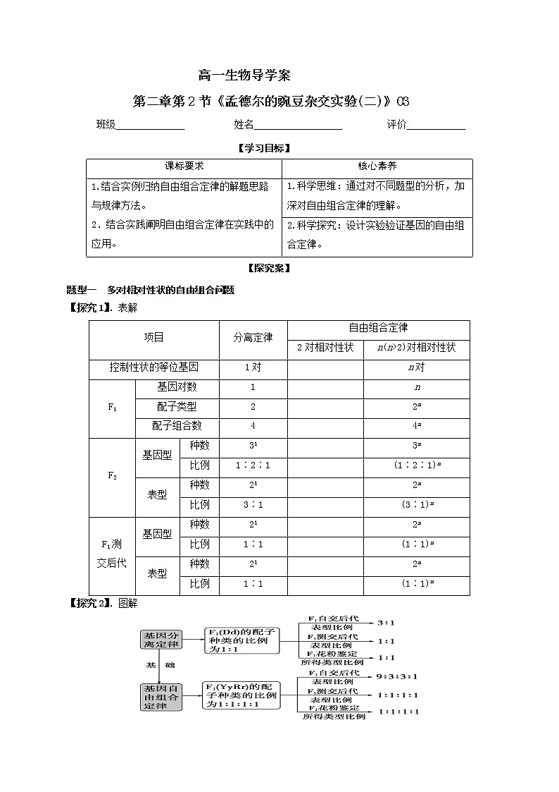 1.2《孟德尔的豌豆杂交实验(二)》03导学案【新教材】2020-2021学年高一生物人教版(2019)必修二第1页