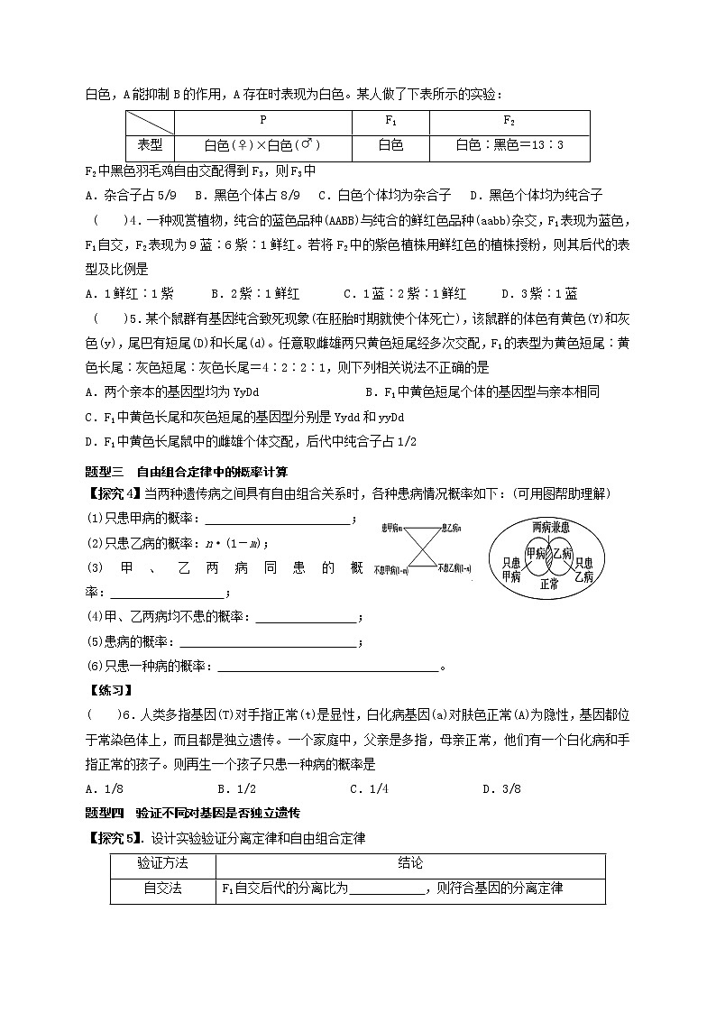 1.2《孟德尔的豌豆杂交实验(二)》03导学案【新教材】2020-2021学年高一生物人教版(2019)必修二第3页